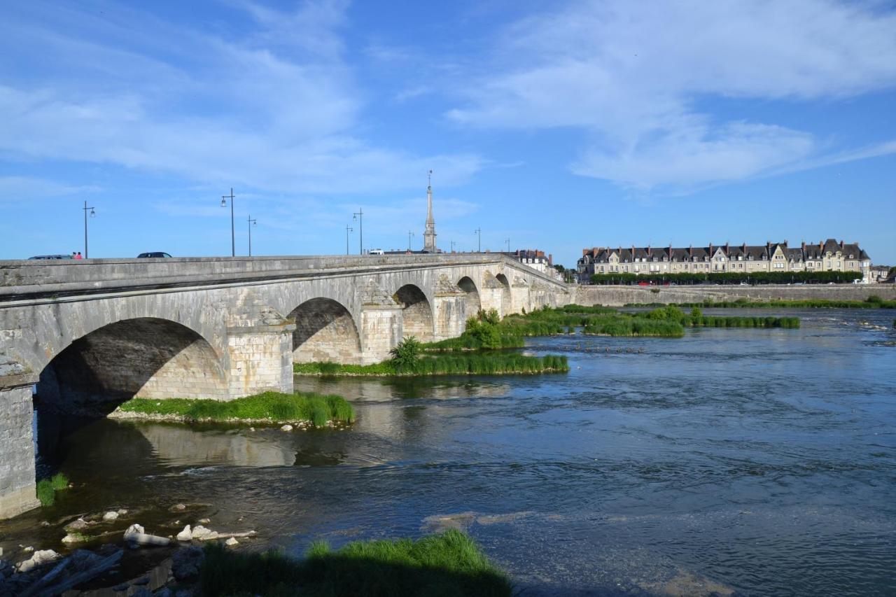 Entre Loire & Chateau - Vue Exceptionnelle A Blois Buitenkant foto